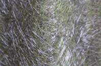 Thorn Hill fibreglass roof work